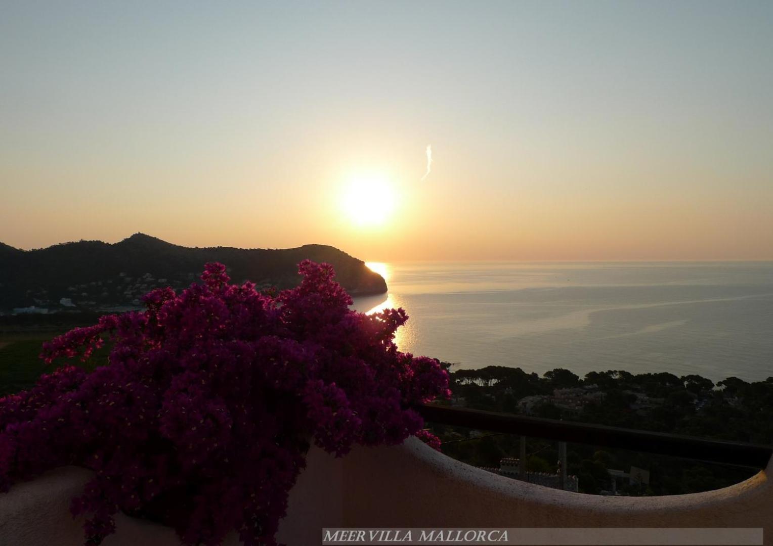 Meervilla Mallorca - Charmantes Ferienhaus Mit Phantastischem Meerblick In Canyamel Εξωτερικό φωτογραφία